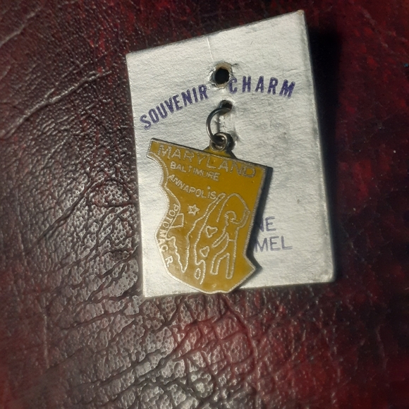 1960/1970's Maryland Enamel Cloisonne State Charm - Picture 8 of 13